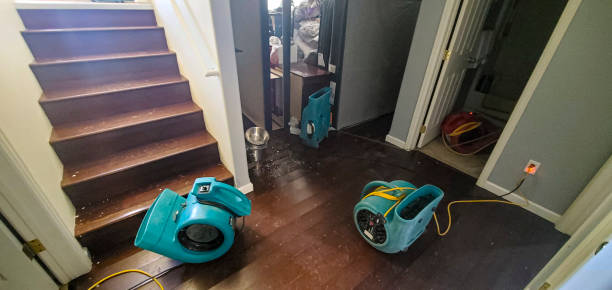 Reliable OK Water damage restoration Solutions