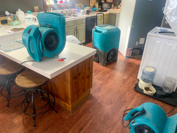 Best Sewage cleanup and water damage restoration  in Shawnee, OK