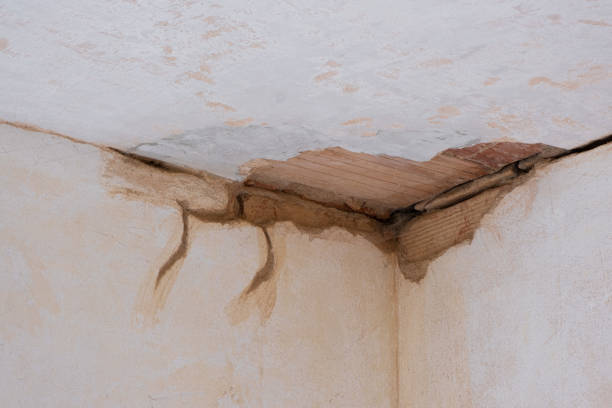 Best Water damage restoration near me  in Shawnee, OK